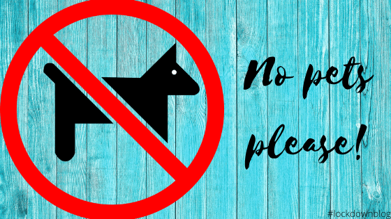 No Pets Allowed&nbsp;Please!